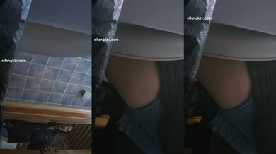 餐厅女厕全景偷拍多位美女嘘嘘❤️各种美鲍鱼完美呈现2 (13)